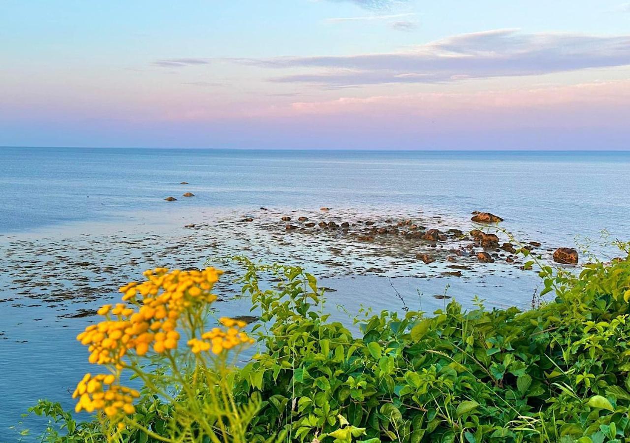 Wildflower Inn Plymouth Eksteriør bilde