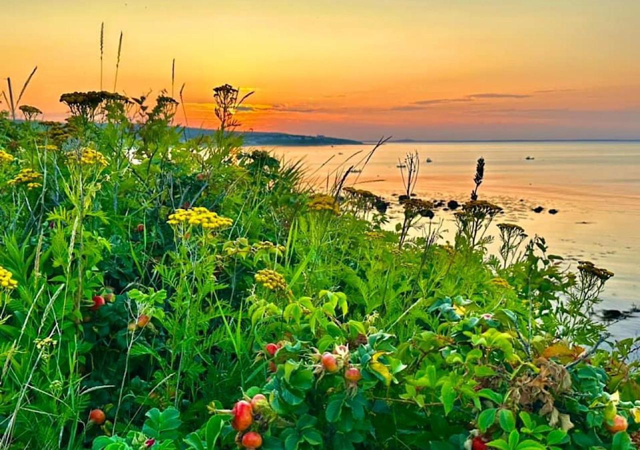 Wildflower Inn Plymouth Eksteriør bilde